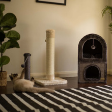 Cat Scratching Post with Toy